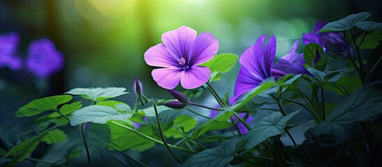 In the vibrant garden, a delicate violet flower gracefully swayed among the lush green leaves,...