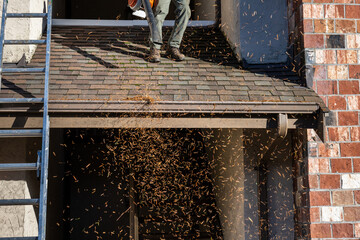 Fall pine needle debris flying in the air as a senior man on a rooftop is cleaning front entry roof...