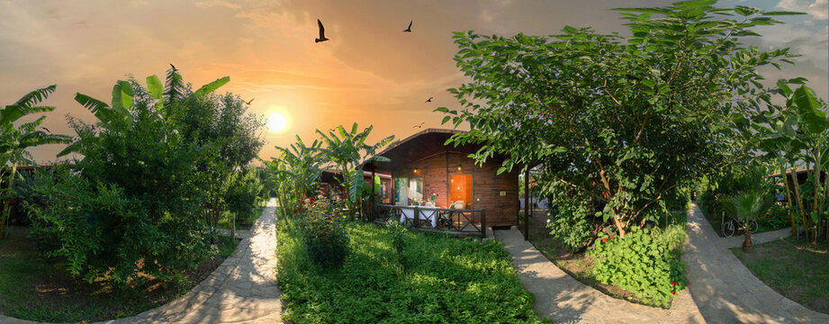 Wooden bungalow in a garden with green trees. Red sunset in the background and birds in the sky, panoramic photo