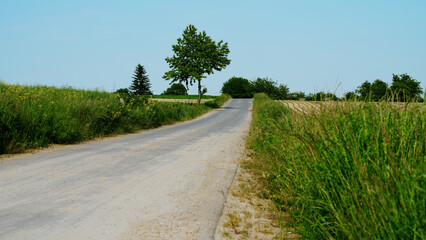 Droga asfaltowa w krajobrazie wiejskim, wiejska droga na pola 