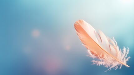  a close up of a white feather on a blue background with a blurry image of the sky in the background.