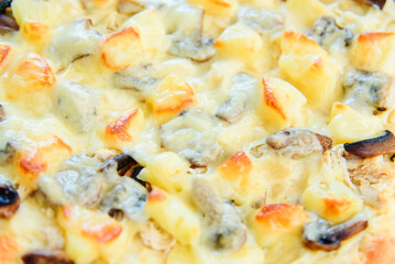 Delicious pizza with cheese, meat, mushrooms and pineapples, close-up.