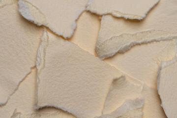 Obraz premium Ripped fragments of old-style paper. Torn paper pieces