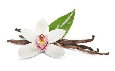 Vanilla pods, green leaf and flower isolated on white