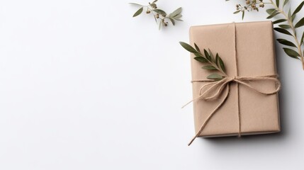  a present wrapped in brown paper and tied with a brown ribbon and tied with a green leaf on a white background.