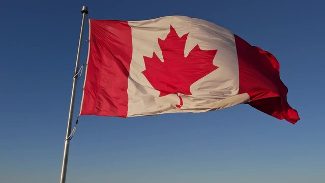 National Flag of Canada. Canadian flag slow motion at mast at Toronto city Ontario Canada in remembrance.