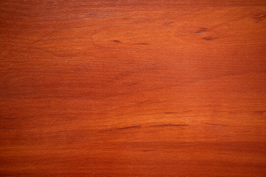 High quality mahogany texture photo.Wooden surface made of wood.Background for the text.