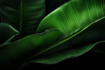 Stunning Isolation: The Bold Contrast of a Green Banana Leaf against a Noir Backdrop Generative AI