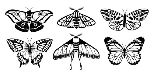 Black and white butterflies vector set