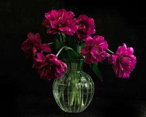 bouquet of dark red lilac tulips in glass vase on dark background. flower bouquet in vase on table. Gift interior decoration. florist, decorator. Flower shop.