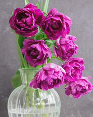 bouquet of gray red lilac tulips in glass vase on dark background. flower bouquet in vase on table. Gift interior decoration. florist, decorator. Flower shop.
