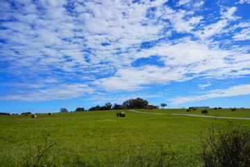 Fototapeta premium Round Hay stack in a florida farm and beautiful cloud 