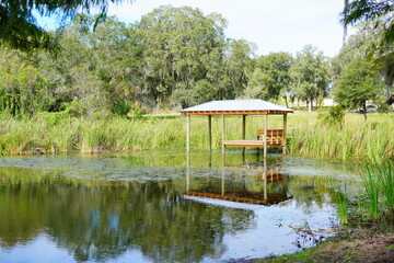 Fototapeta na wymiar Middle lake park at Wesley Chapel, close to Tampa in Florida