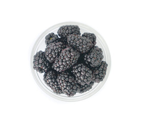 Small bowl of big juicy blackberries with antioxidants isolated on white background