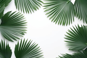 Fototapeta na wymiar Discover the Tranquil Beauty: Vibrant Green Palm Leaves against Pure White Background Generative AI