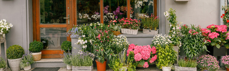 Facade of beautiful flower shop with different housplants and flowers . High quality photo