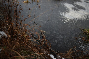 La Plaine 25 Novembre 2023