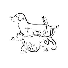 Group of pets - Dog, Cat, Parrot, Rabbit, Butterfly, Hummingbird, isolated on transparent background. Pets. Animals.