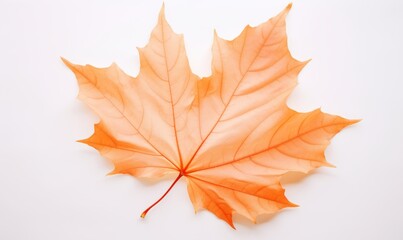 Unveiling Autumn's Elegance: A Solitary Maple Leaf's Fall - The Ultimate Expression of Transience Generative AI