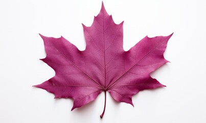 Naklejka premium Stunning Solitude: A Single Red Maple Leaf Isolated on White Generative AI