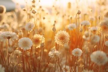 Sunset's Embrace: A Stunning Display of Field Flowers Basking in Twilight Beauty Generative AI
