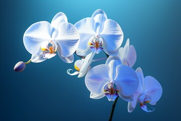 Exquisite Orchid Blooming Against Enchanting Blue Backdrop: Unveiling Nature's Beauty Generative AI