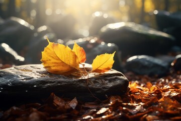 Enchanting Sunrise over Autumn Leaves & Rocks: Nature's Untouched Beauty Generative AI