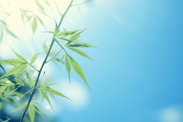 Magical Skyscape: Exploring the Serenity of Bamboo Trees and Leaves Generative AI