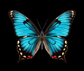 Vibrant Isolated Butterfly: A Striking Emblem of Natural Beauty on White Background Generative AI