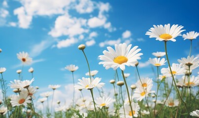 Breathtaking Panorama of Vibrant Daisies Under an Azure Sky Generative AI