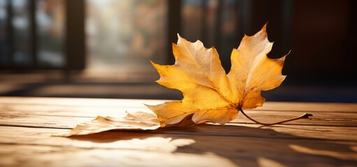 Naklejka na ściany i meble Basking in the Autumn Sun: A Lone Leaf's Final Symphony Generative AI
