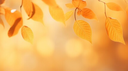 Naklejka na ściany i meble Captivating Autumn: Stunning Display of Fall Leaves on a Warm Orange Background Generative AI