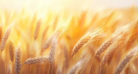 Glistening Sunbeam Dance over Lush Gold Wheat Fields Generative AI