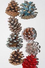 Fototapeta premium holiday evergreen cones (some with creatively painted bracts) on blank paper (featuring a trendy or retro strobe light effect and strong shadows)