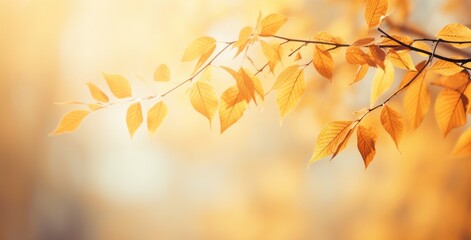 Naklejka na ściany i meble Captivating Autumn Splendor: Exquisite Fall Leaves & Majestic Trees Background Generative AI