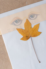 book flattened yellow autumn leaf on tracing paper with curious sight element (and message) below