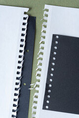 various paper samples with torn bindings (square and round coil) on rough green paper
