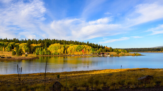 Fall at Big Lake, Arizona