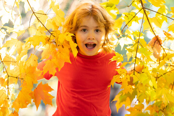 Child's Playtime in the Park. Autumnal Wonders. Childhood Joy in the Park. Excited child Enjoying Autumn in the Park. Fall Foliage. Kid in the Park. Child with Nature.