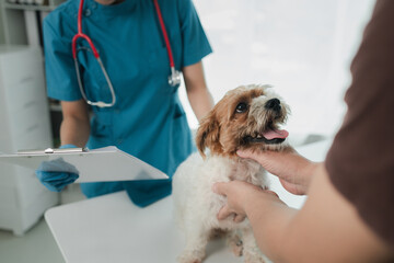 Veterinarian is working in animal hospital, A veterinarian is examining a dog to see what disease...
