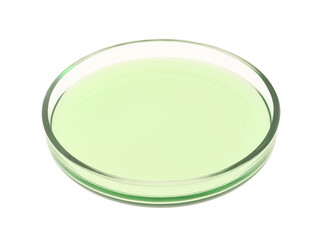 Petri dish with green liquid isolated on white