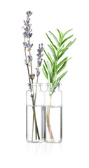 Bottles with essential oils, lavender and rosemary isolated on white