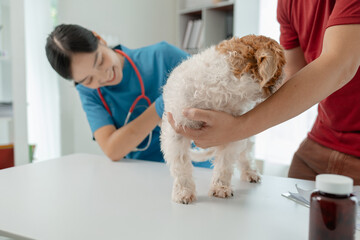 The dog's owner took the dog to the hospital to be examined by a veterinarian for the cause of his illness, There was a dog on the table and was thoroughly examined by the vet.