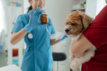 Vet is explaining medication that dog owners must give their dogs when they return home. Dog owner...