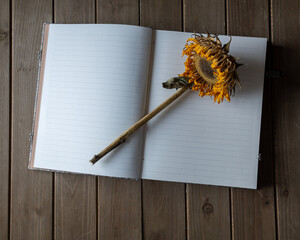 A dried sunflower resting on a wooden background to illustrate the concept of journaling through grief - 684021709