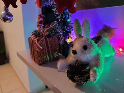 Esquilo de natal