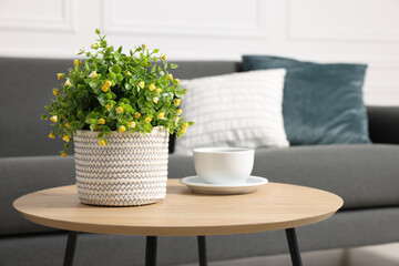 Potted artificial plant and cup of drink on coffee table near sofa indoors