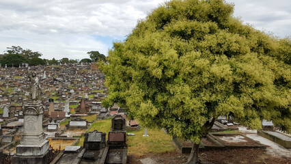 Cemetery in Sydney Eastern Suburbs 