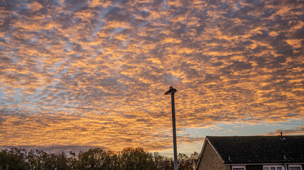 Morning Sky in Shades of Orange with Gently Rippled Clouds