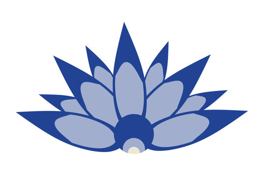 chinese porcelain blue lotus